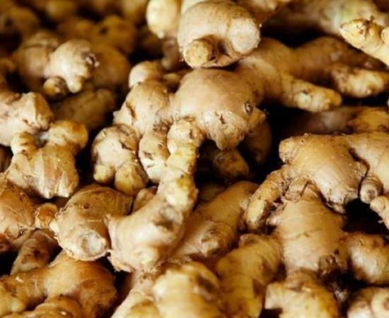 ‘Brand Assam goes global’: CM hails GI-tagged Karbi ginger export to London