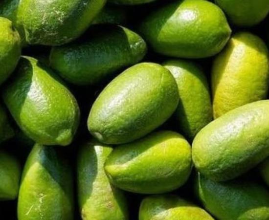 India Exports GI-Tagged Limes to UK, Boosting Global Recognition of Local Produce