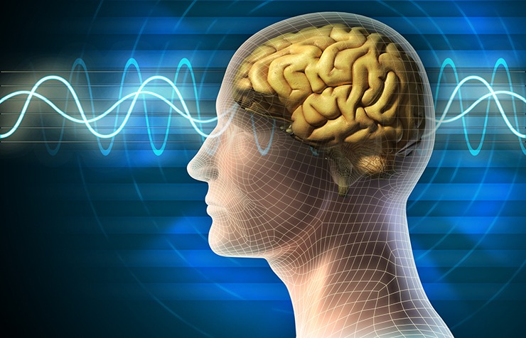 স্মৃতিশক্তি উন্নত করে