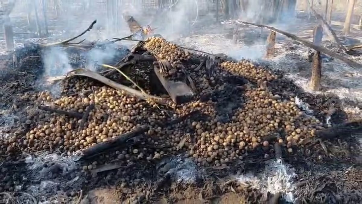 असम के मार्घेरिटा में भीषण आ/ग से तीन घर राख, परिवार बेघर!