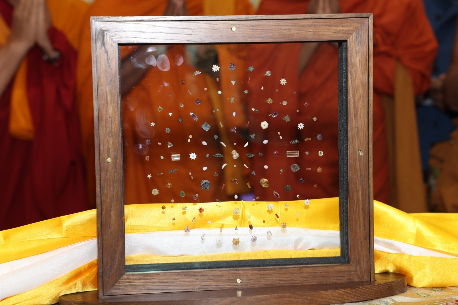  ‘The Light & the Lotus’ का उद्घाटन