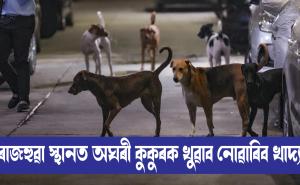 Supreme Court stays order directing Delhi to shift street dogs to shelters