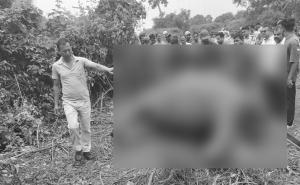 Rhino Carcass Found in Assam’s Kaliabor