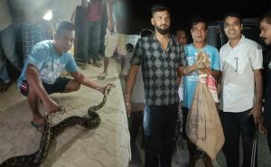 Python Rescued