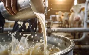 Sustaining Assam’s Dairy Growth Needs Strong Policy Push and Infrastructure Boost