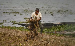 Assam initiative turns water hyacinth into eco-friendly paper to revive wetlands