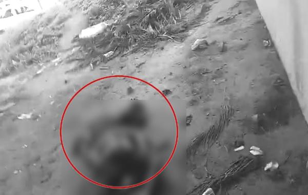 Dead body recovered