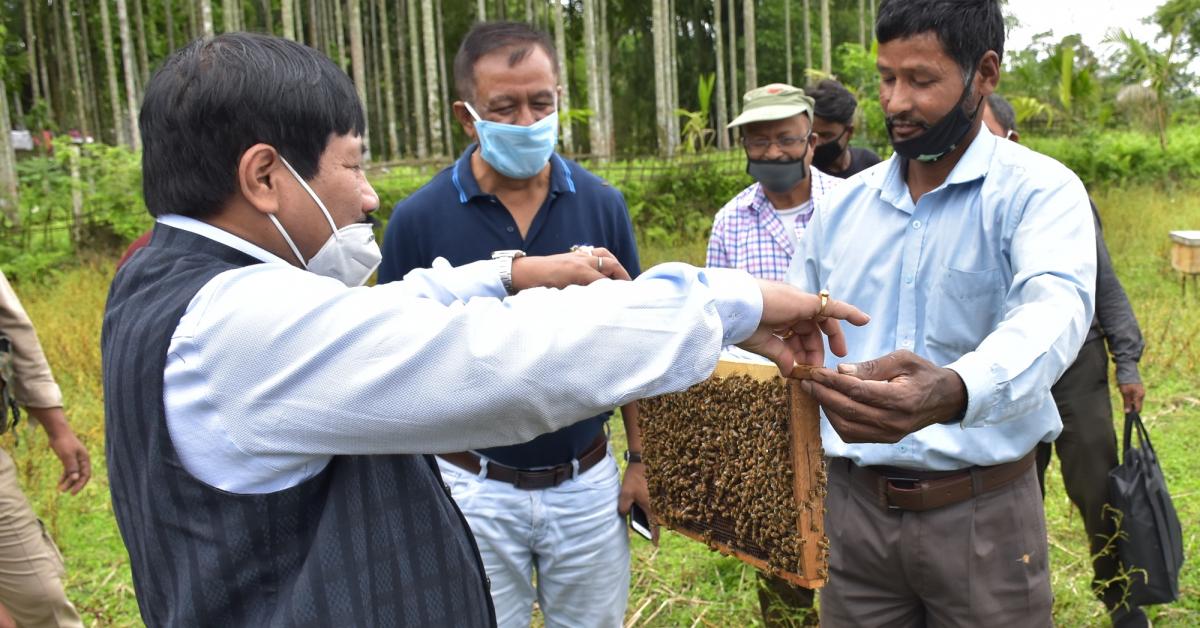 মৌ-পালনেৰে স্বাৱলম্বিতাৰ নিদৰ্শন 