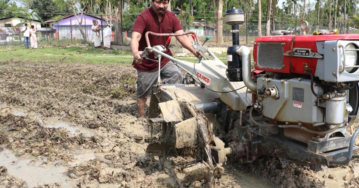 অসমত ৪০ কোটি টকাৰ পাছলি নষ্ট হৈছে