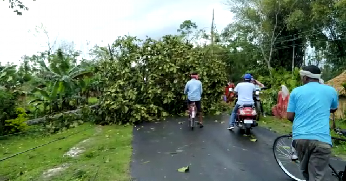 পথৰ ওপৰত বাগৰি পৰিল গছ-গছনি