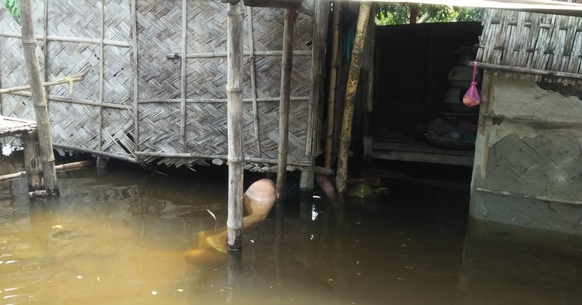 হাউলীত শোকাৱহ ঘটনাঃ ঘৰৰ ভিতৰতে পানীত পৰি এগৰাকী অকলশৰীয়া বৃদ্ধ মহিলাৰ মৃত্যু ।