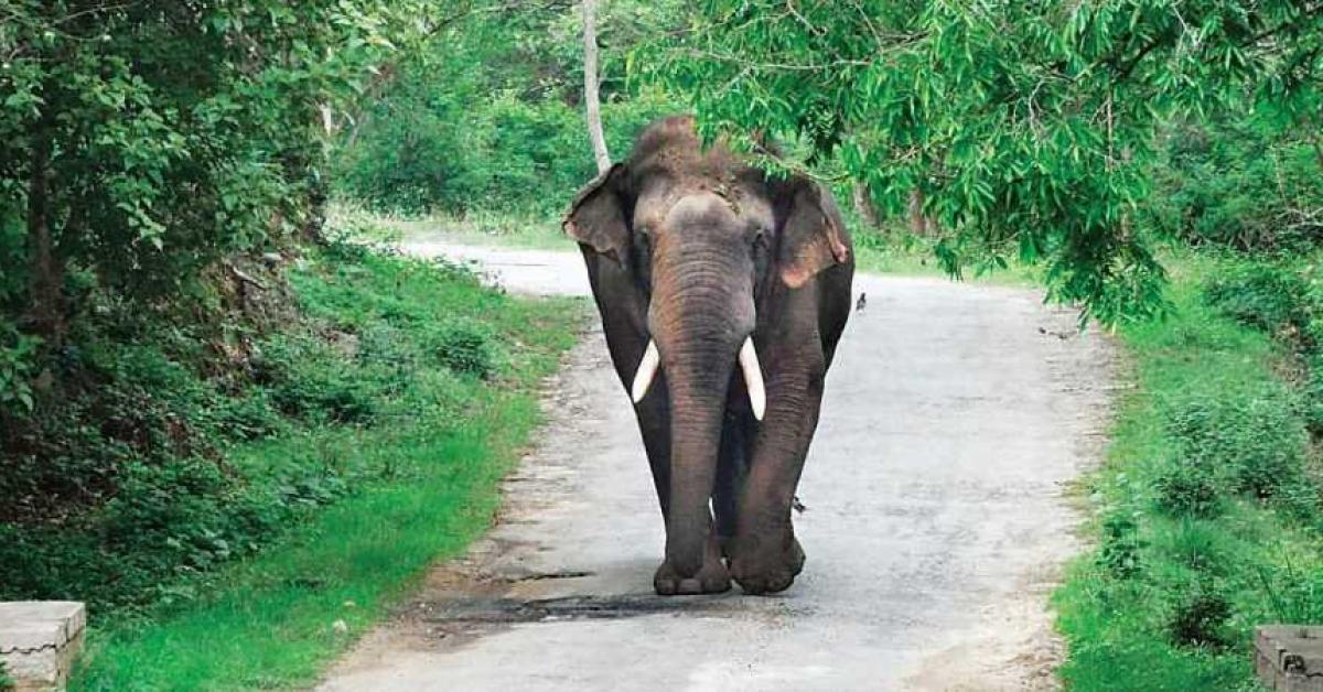  ৪৭ বছৰীয়া কৃষক