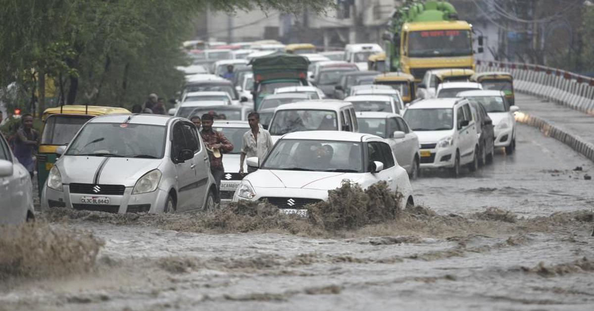 দেশৰ ৰাজধানী দিল্লীত বানৰ  কালৰূপ