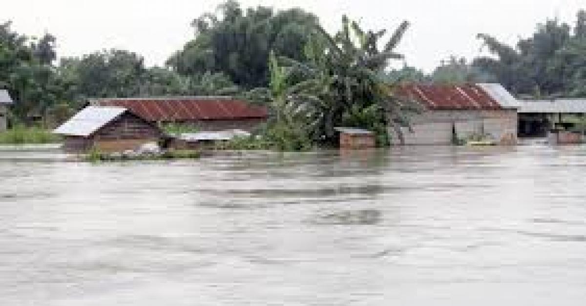 লখিমপুৰত আৰম্ভ হৈছে বানৰ বিভীষিকা