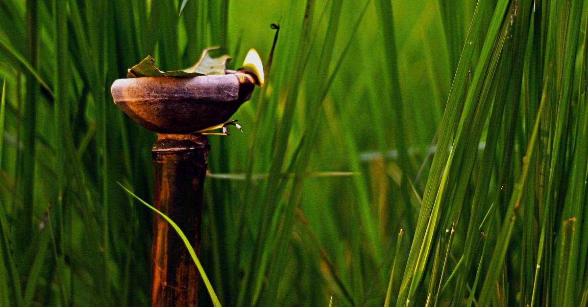 আজি বাপতিসাহোন হেঁ‌পাহৰ কাতি বিহু