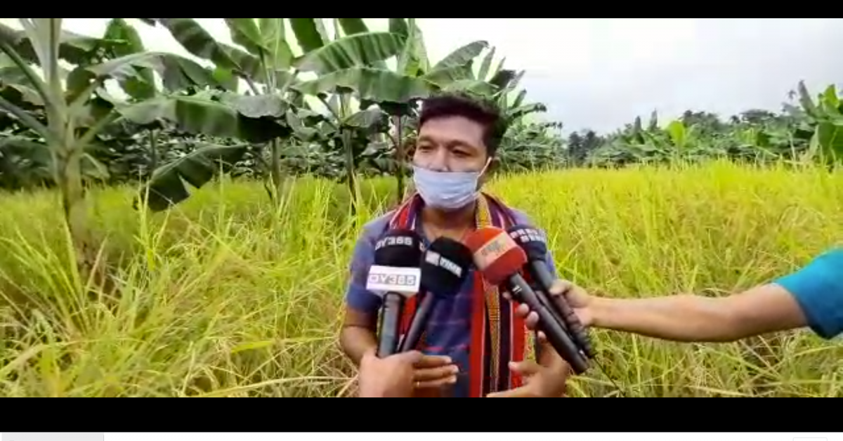 একেডৰা মাটিত তিনি গুণ শস্য উৎপাদনৰ লক্ষ্য