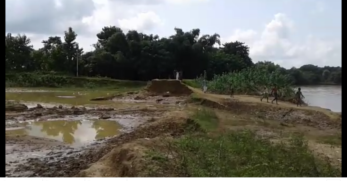 বালি মাফিয়াই চলাইছে ভয়াবহ তাণ্ডব