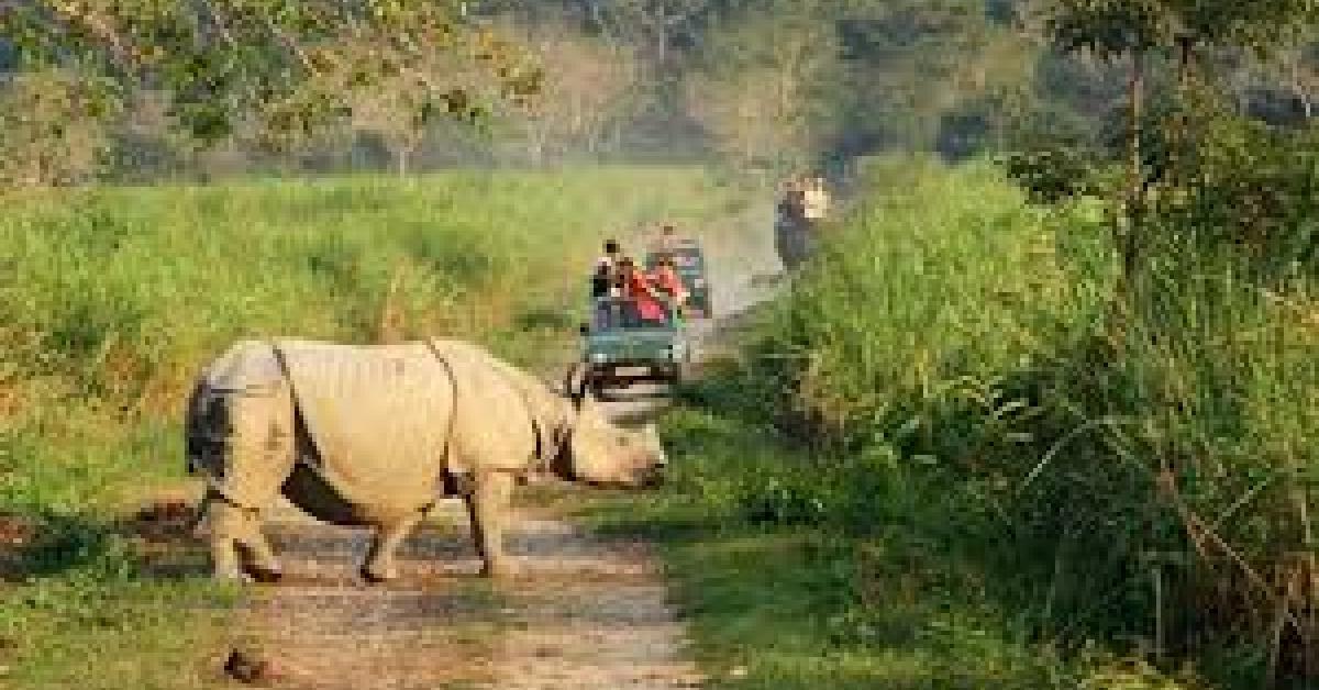 অভয়াৰণ্য