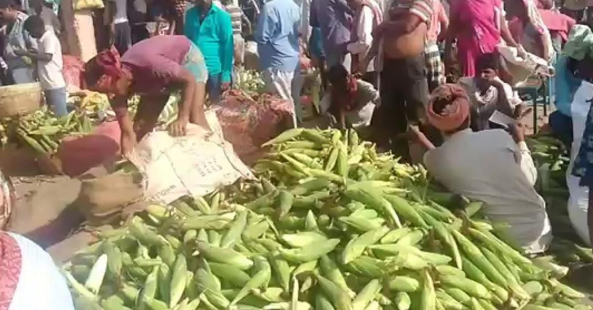 বেছিমাৰী