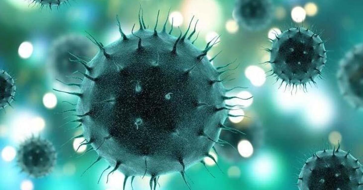 ৰাজ্যত ভয়াৱহ ৰূপ লোৱাৰ সম্ভাৱনা আছে কৰ'ণাই!