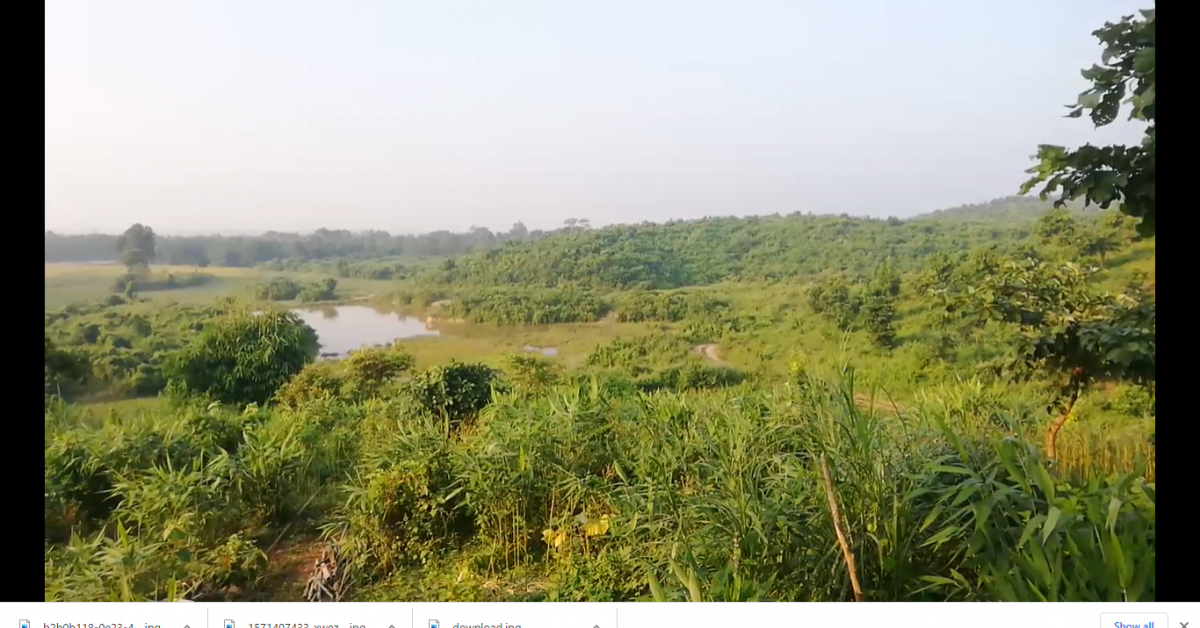 ৬০০ বিঘা মাটিত হস্তীৰ বাবে খেতি