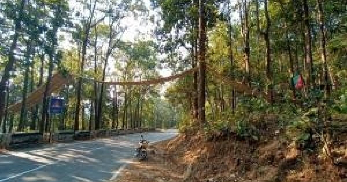 সৰীসৃপৰ বাবে উলোমা সেঁতু 