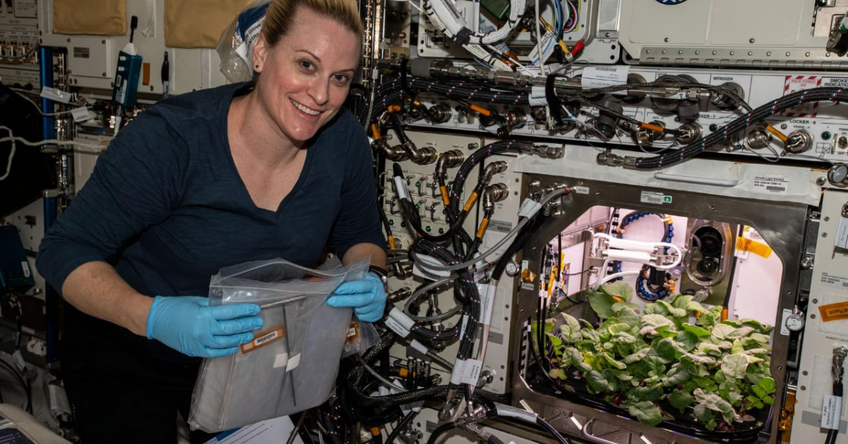 এইবাৰ মহাকাশত মুলাখেতি!