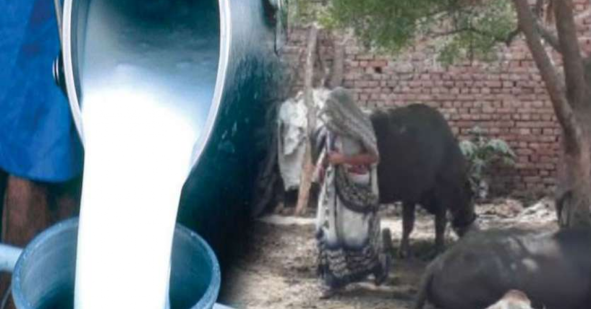  ভাৰতৰ এখন গাওঁ, য'ত গাখীৰ বিক্রী কৰাটো পাপ!