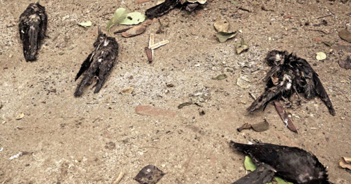 জাৰি কৰা হৈছে হাই এলাৰ্ট