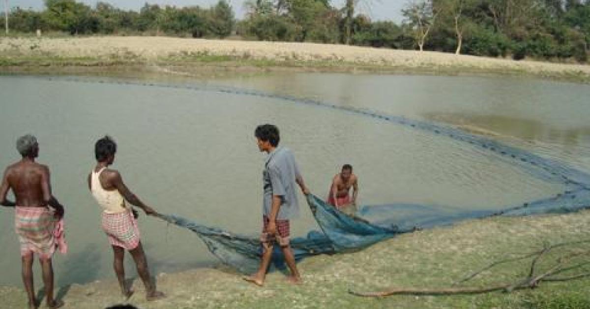 টিংখাঙবাসী