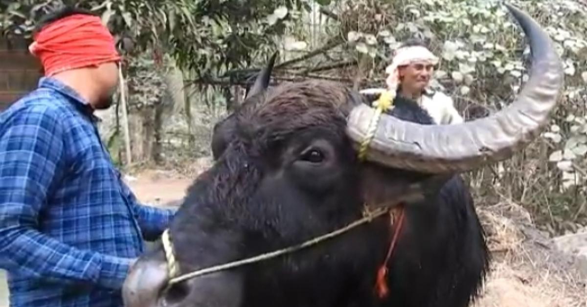  যুঁজাবলৈ সাজু গুৱাল