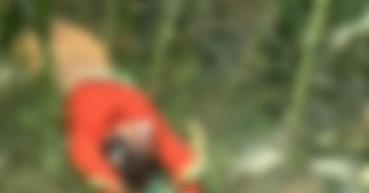 jj