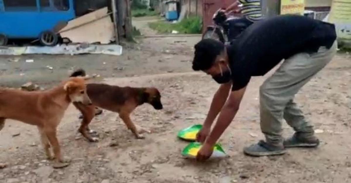 প্ৰায় ২০০ জীৱ-জন্তুক প্ৰতিদিনেই খাদ্যৰ যোগান ধৰিছে দুই যুৱকে