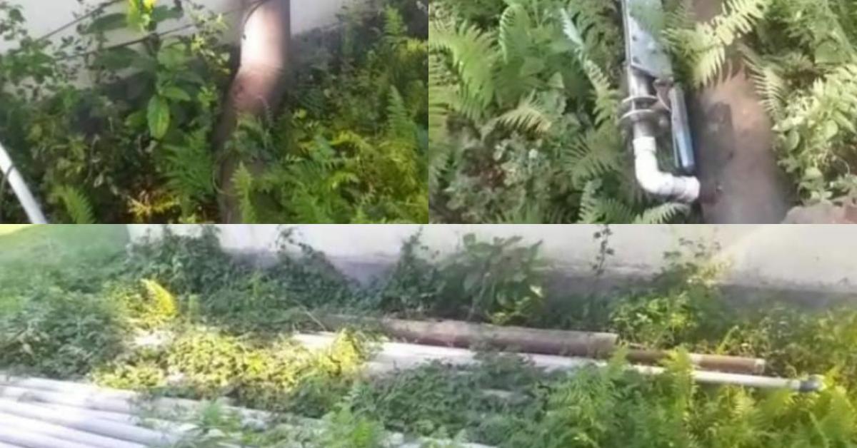 কোটি টকীয়া পানী যোগান আঁচনি ধোঁৱা চাঙত