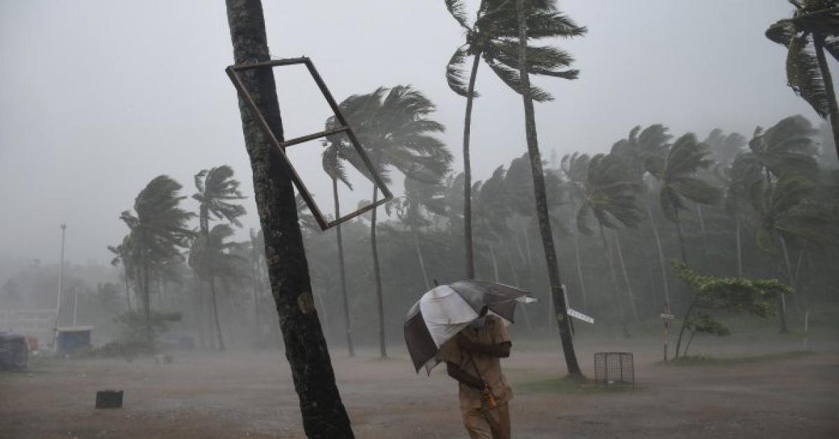 কৰ'ণাৰ মাজতে 'তোক্তে’ ধাৰণ কৰিছে ভয়াৱহ ৰূপ