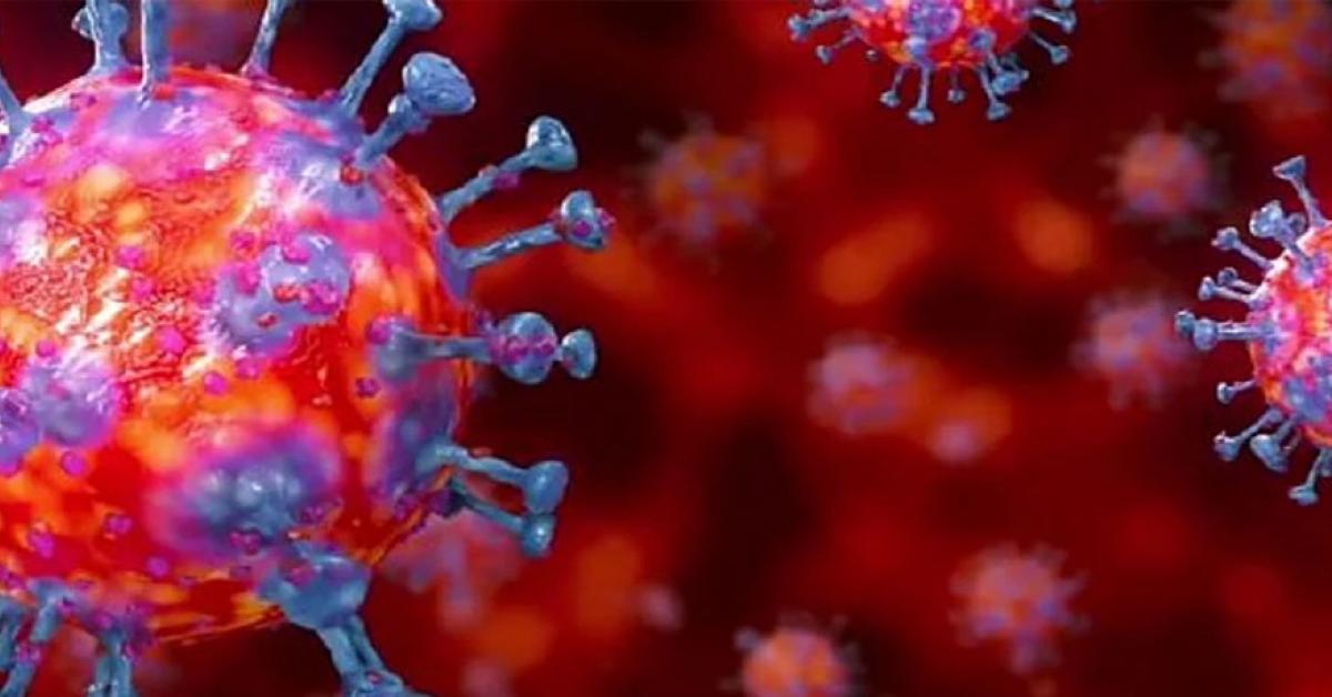 বিবাহ অনুষ্ঠানেই এতিয়া কাল হৈছে গহপুৰত