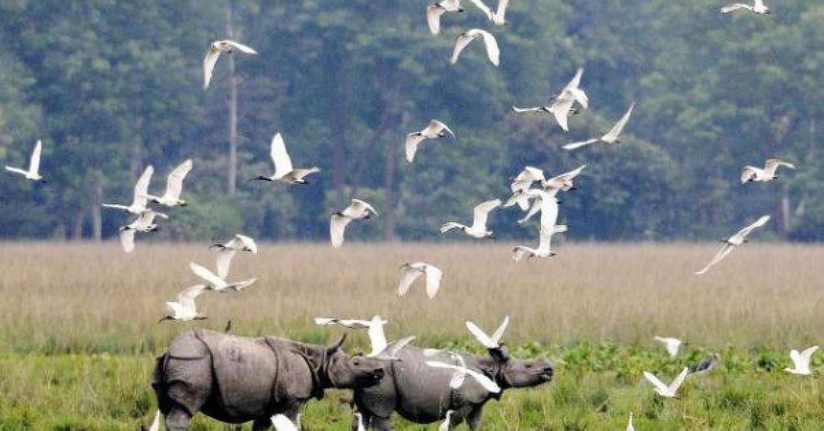 বন্ধ ঘোষণা ওৰাং ৰাষ্ট্ৰীয় উদ্যানত