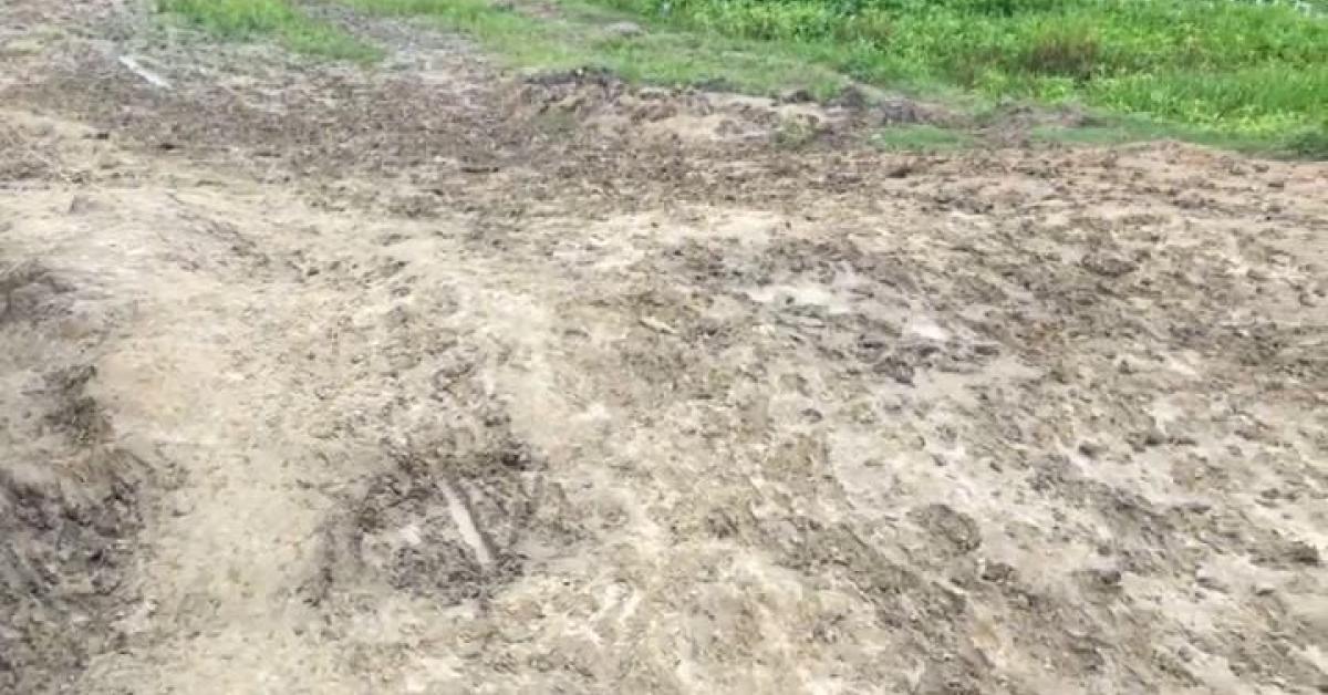 ৩৫ বছৰে জ্বলা-কলা খোৱাইছে এটা পথে 