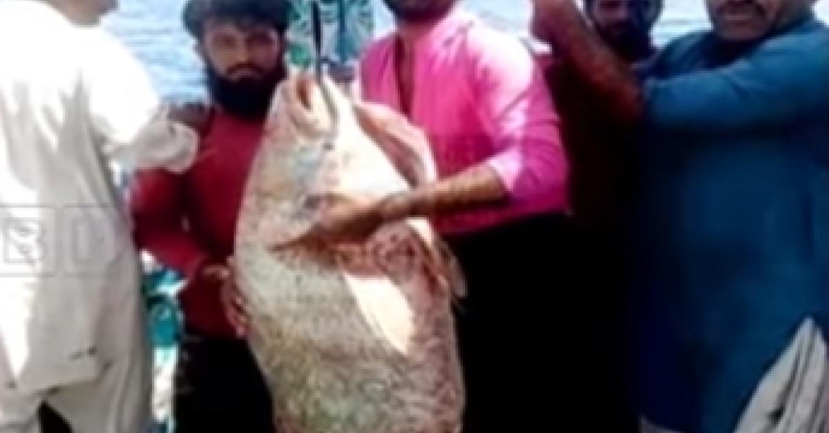 এটা মাছে ভাগ্য সলালে এজন মাছমৰীয়াৰ 