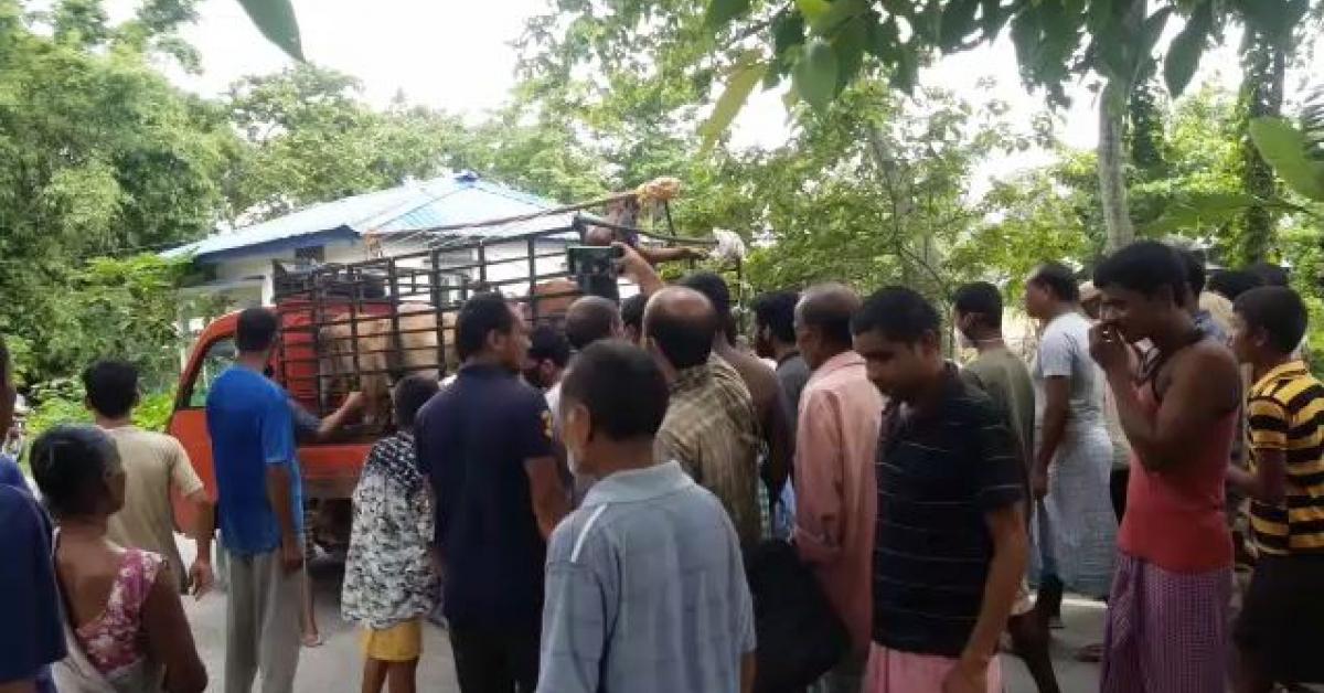 গৰু চোৰক কেন্দ্ৰ কৰি এখন গাঁৱত সৃষ্টি হৈছে তীব্ৰ উত্তেজনা