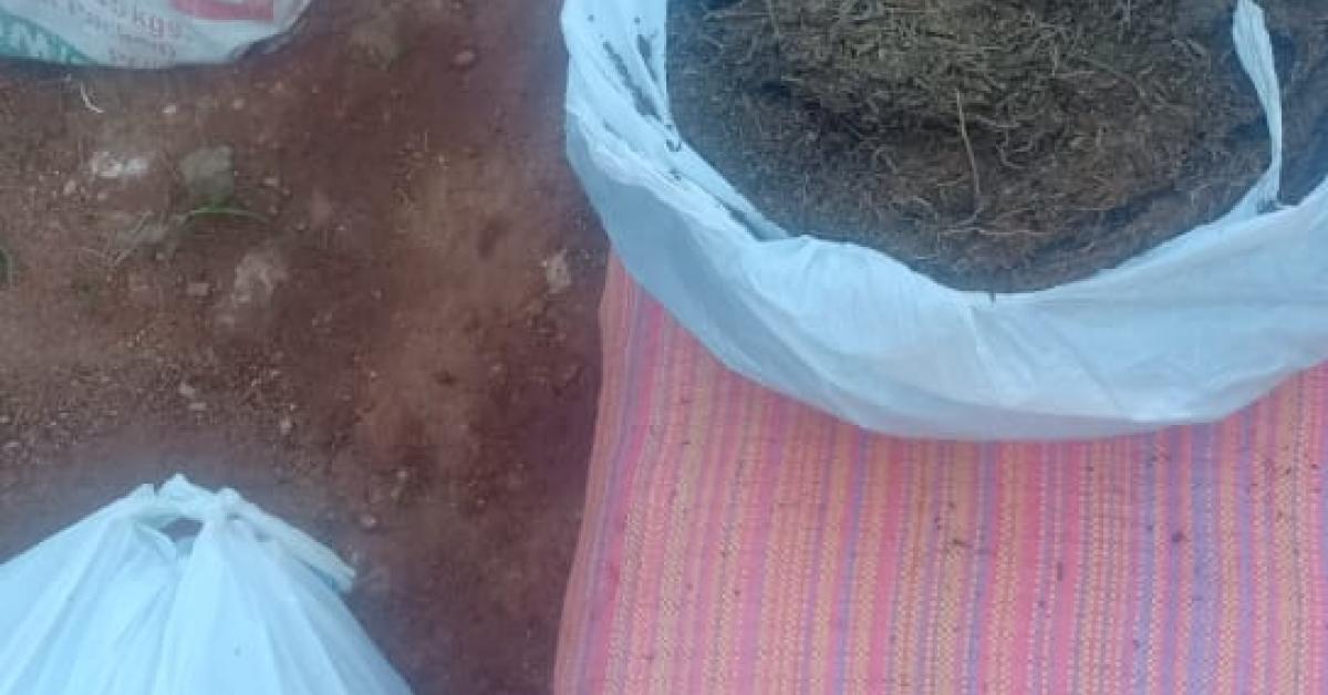 ৫০ কিলোগ্ৰাম গাঞ্জাসহ এজন ব্যৱসায়ীক গ্ৰেপ্তাৰ গড়চুক আৰক্ষীৰ 