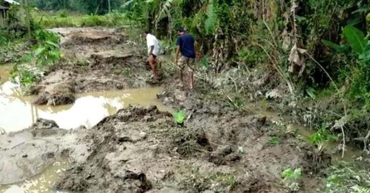 Neepco ৰ ৰঙানদী জলবিদ্যুত প্ৰকল্পৰ সংহাৰ 