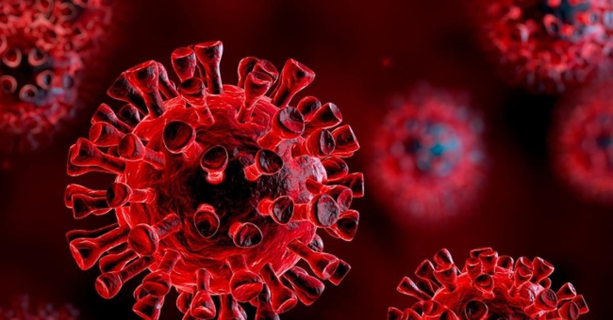 ২৪ ঘণ্টাত ৰাজ্যত ৬৫ জনৰ মৃত্যু 