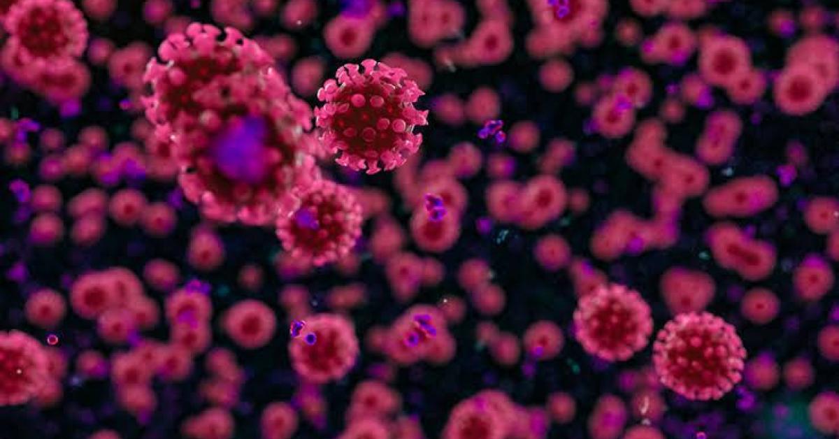 দেশত দৈনিক হাজাৰৰ আশে পাশে আছে ক’ভিডত মৃত্যু হোৱা লোকৰ সংখ্যা