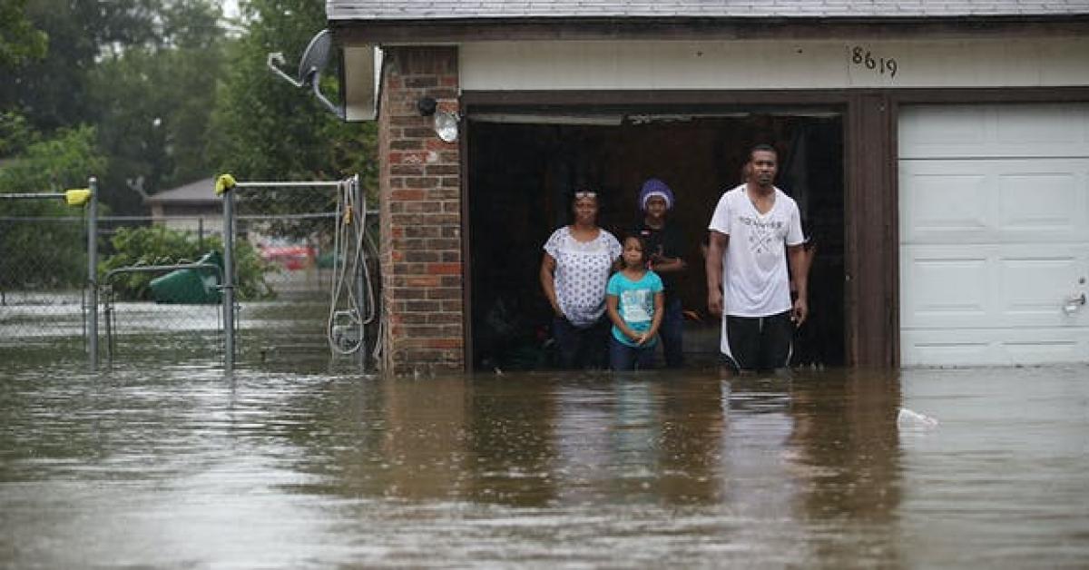 ভয়ংকৰ বানৰ কবলত পৰিছে নিউয়ৰ্ক