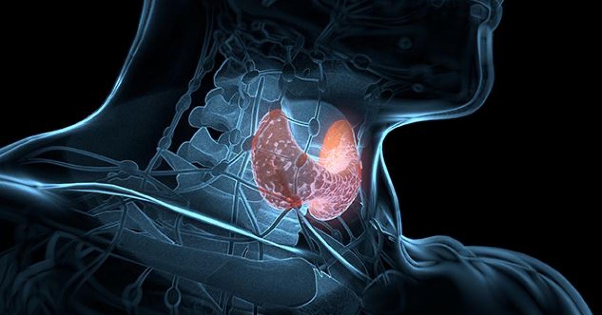 আপুনি থাইৰয়ডৰ সমস্যাত ভুগিছে নেকি? জানো আহক ঘৰতে পোৱা এবিধ মহৌষধৰ বিষয়ে