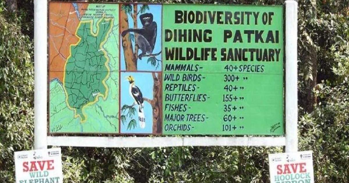  প্ৰকৃতিৰ ৰম্যভূমি, লুপ্তপ্ৰায় জীৱ-জন্তু, বিভিন্ন প্ৰজাতিৰ উদ্ভিদৰ আকৰ দিহিং পাটকাই