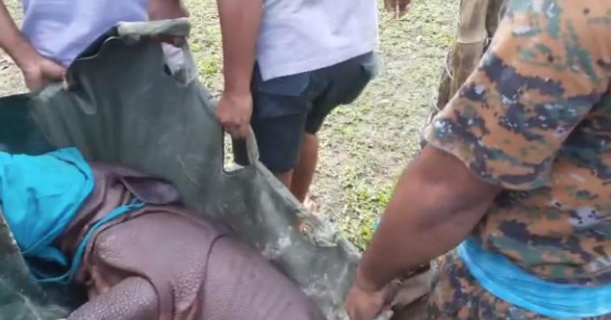 15-day-long rhino cub rescued in Kaziranga