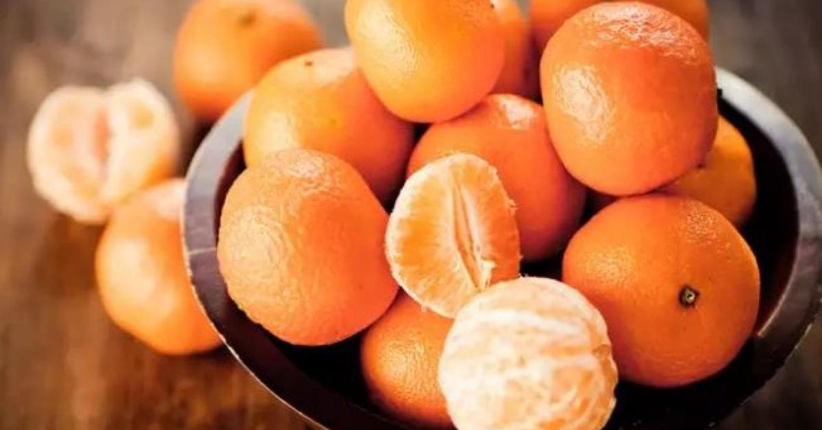 Seasonable fruit Orange 