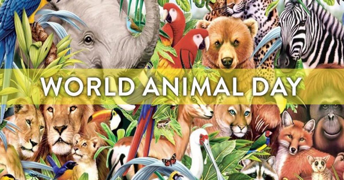 World Animal Day